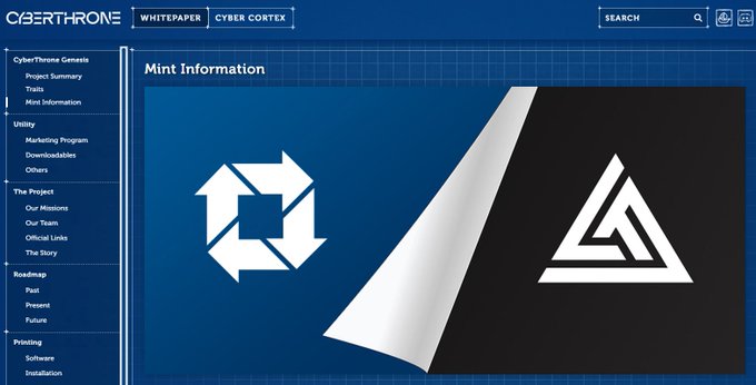 A screenshot of the CyberThrone website showing the 'Mint Information' page with navigation menu items including Project Summary, Team, and Roadmap.