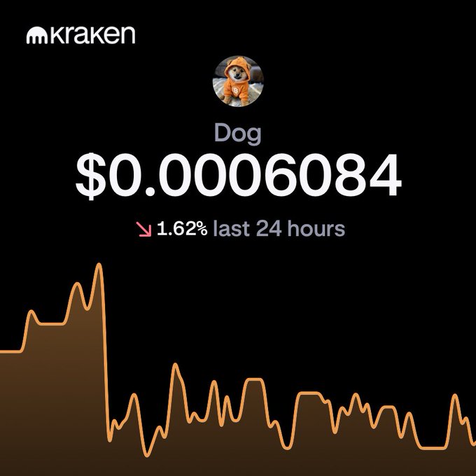 Kraken cryptocurrency exchange screenshot showing the price of Dog (DOG) at $0.0006084, down 1.62% in the last 24 hours with a downward orange price chart.