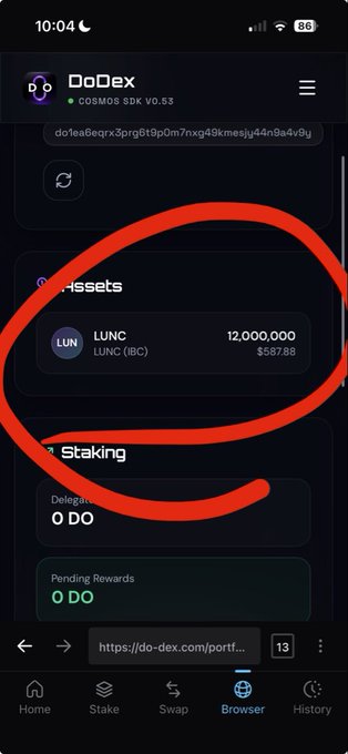 Screenshot of a DoDex portfolio page showing 12,000,000 LUNC (IBC) assets worth $587.88, circled in red.