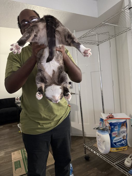 A man in a green shirt holds a relaxed gray and white cat upside down in front of a metal shelving unit stocked with paper goods.