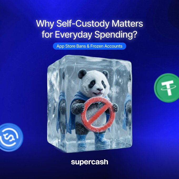 Promotional graphic for 'supercash' titled 'Why Self-Custody Matters for Everyday Spending?' featuring a frozen panda holding a prohibition sign, with logos for USDC and Tether.