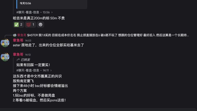 A screenshot of a Chinese chat conversation discussing Hachimi meme token, where users debate investment strategies and express frustration over being scammed, with the most recent message outlining two options: playing good BSC projects or waiting for RB (restoration/recovery).