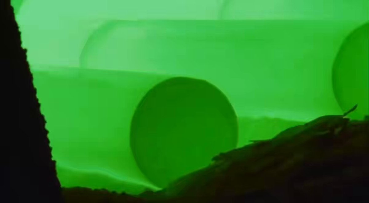 The image features a green ball, possibly a balloon or a piece of plastic, floating near the bottom right corner. It appears that someone has posted about this interesting scene on social media, capturing the attention of viewers with its unique color and position. The caption "BITCOIN TOMORROW" suggests that there might be an upcoming release date for Bitcoin, which is likely to generate interest among those who follow cryptocurrency news or trends.

The image also includes a tree in the background on the left side, adding depth and context to the scene.