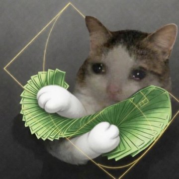 A humorous edited image of a cat holding fanned-out stacks of green banknotes within a golden diamond-shaped frame against a black background.