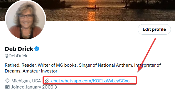 A Twitter profile for Deb Drick (@DebDrick) with a red arrow pointing to a WhatsApp link (chat.whatsapp.com/KOEJxWvLeySCXo...), bio reads: 'Retired. Reader. Writer of MG books. Singer of National Anthem. Interpreter of Dreams. Amateur investor.'