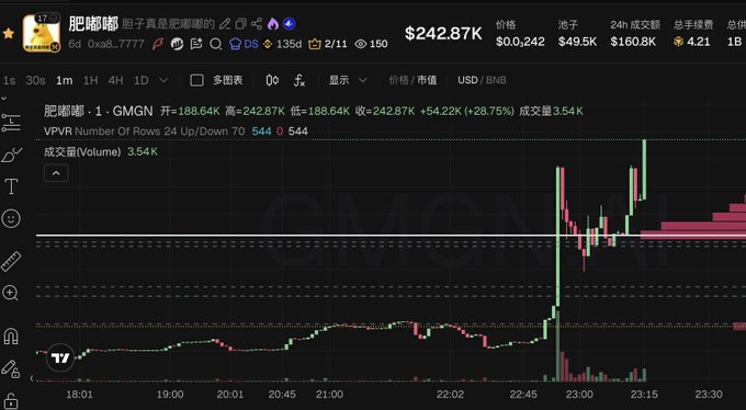 Trading chart for '肥嘟嘟·GMGN' cryptocurrency showing a price of $242.87K with a 28.75% gain on GMGN exchange.