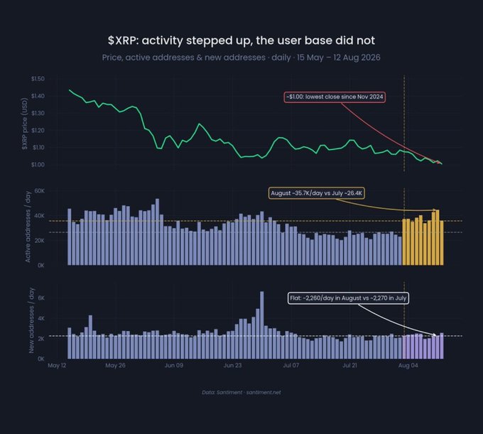 A financial chart titled '$XRP: activity stepped up, the user base did not' displaying XRP price, active addresses, and new addresses from May 15 to August 12, 2026. Annotations note the lowest close since November 2024 at $1.00, August averaging 35.7K active addresses/day vs July's 26.4K, and approximately 2,260 new addresses/day in August vs 2,270 in July.