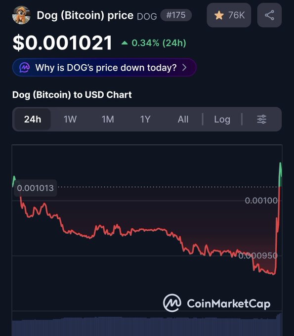 A CoinMarketCap chart for Dog (Bitcoin) price (DOG) at $0.001021, showing a 24-hour price dip followed by a sharp recovery spike.