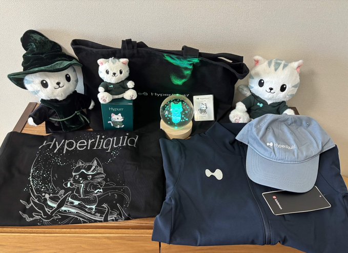 A collection of Hyperliquid merchandise displayed on a wooden surface, including a tote bag, plush cat toys, a witch-themed cat plush, a black cap, a t-shirt with a cat graphic, a snow globe, and other branded items.