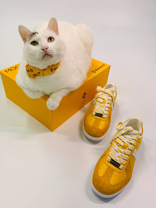A white cat wearing a Binance-branded yellow bandana lounges atop a yellow Binance shoe box, alongside a matching pair of yellow suede Binance sneakers with white-and-yellow laces, perfectly capturing the "meow-velous" Mid-Autumn Moon Landing theme through its playful feline-meets-cryptocurrency branding.
