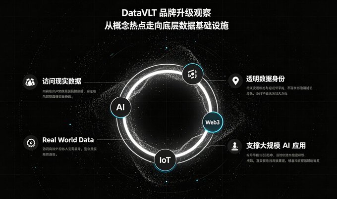 The image is a dark-themed infographic titled "DataVLT 品牌升级观察" (DataVLT Brand Upgrade Observation) with the subtitle "从概念热点走向底层数据基础设施" (From conceptual hotspots to underlying data infrastructure), showing a circular diagram connecting four core concepts: AI, Web3, IoT, and Real World Data, with surrounding text about accessing real data, transparent data identity, and supporting large-scale AI applications.