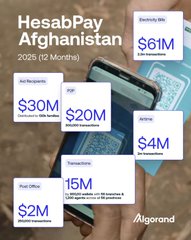 A promotional graphic for 'HesabPay Afghanistan 2025 (12 Months)' shows various transaction amounts and categories including Electricity Bills ($61M), IDPs ($30M), ISP ($20M), Utility ($4M), Transactions (15M), and Post Office ($2M), with the Algorand logo at the bottom.