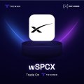 The image is a promotional graphic announcing the launch of "wSPCX," a tokenized version of SpaceX stock on the XRP Ledger, branded by Tokenized (TOKENIZED.IO) and displayed on a dark background with a stylized "X" logo and "POWERED BY XRP LEDGER" tagline.
