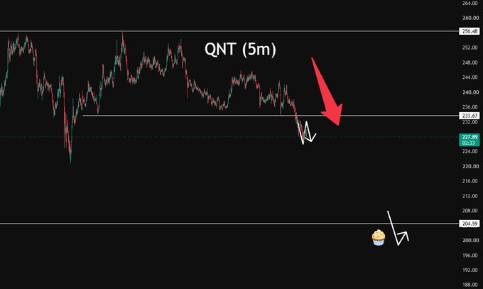 A financial candlestick chart labeled 'QNT (5m)' showing a downward trend with a red arrow pointing to a horizontal resistance line and price levels around 227.89 and 204.59.