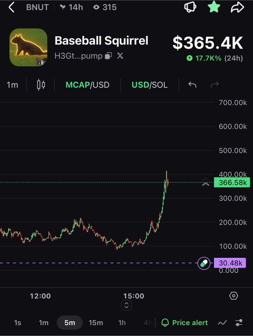 A smartphone screen shows a cryptocurrency chart for 'Baseball Squirrel' on the BNUT platform with a market cap of $365.4K and a 17.7% increase over 24 hours.