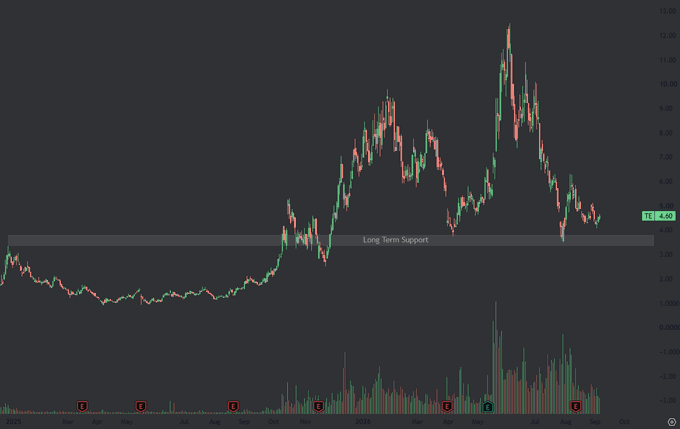 A candlestick chart of T1 Energy ($TE) showing the stock's price action from early 2025 through the following year, featuring a highlighted "Long Term Support" zone around the $3.40-$3.80 level, illustrating the dramatic rally from under $4 to over $12 before returning to current levels near $4.