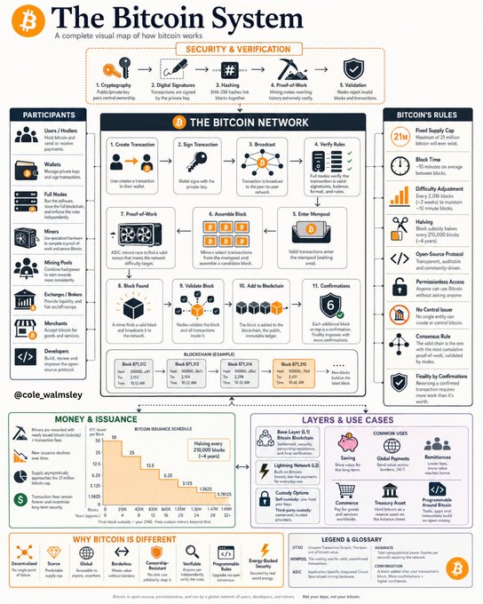 The image presents an infographic that explains the workings of Bitcoin, a digital currency. It features various icons representing different aspects of Bitcoin's operation, such as transactions, blocks, and mining. The infographic also includes a flowchart illustrating the process of creating Bitcoins and the network's security measures.