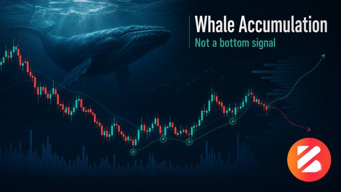 A financial chart with a whale graphic titled 'Whale Accumulation - Not a bottom signal,' showing candlestick patterns and arrows indicating market trends.