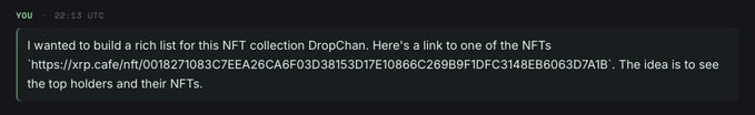 A dark-themed chat message where a user shares a link to an NFT from the 'DropChan' collection, asking to see the top holders.