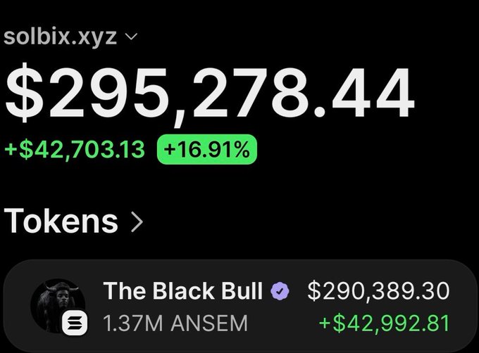 The image shows a Solscan-style wallet tracker for solbix.xyz displaying a portfolio value of $295,278.44 with a +$42,703.13 gain (+16.91%), highlighting "The Black Bull" token holding of 1.37M $ANSEM valued at $290,389.30 (+$42,992.81). This illustrates the massive gains referenced in the post, where a $4,700 investment in $ANSEM grew to over $290,000, representing the bulk of the wallet's holdings and overall profit.