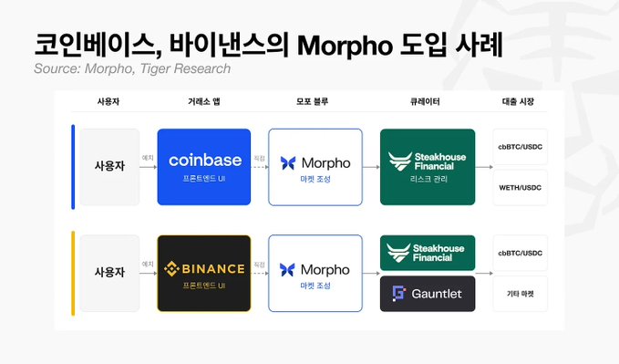 A flowchart diagram titled '코인베이스, 바이낸스의 Morpho 도입 사례' (Source: Morpho, Tiger Research) showing user flow from Coinbase and Binance through Morpho DAO distribution to Steakhouse Financial curators, with Gauntlet for Binance, supporting cbBTC/USDC and WETH/USDC markets.
