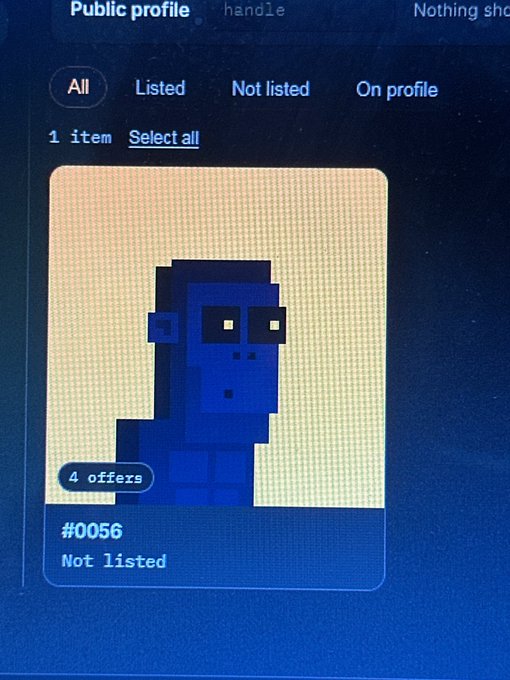 A digital screen showing a profile page with a pixelated blue character wearing sunglasses, labeled '#0056' with '4 offers' and 'Not listed' status.