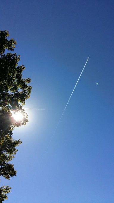 A view looking up at a clear blue sky with the sun shining brightly through tree leaves, while a white contrail from an airplane streaks diagonally across the frame.