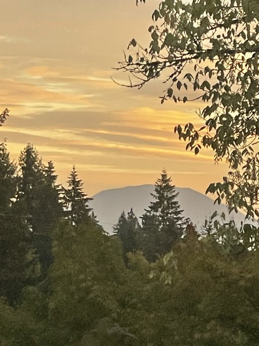 Sunset sky over a forested landscape with distant mountains and tree branches framing the view.