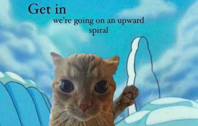 A humorous meme featuring a cat giving a thumbs up with the text 'Get in we're going on an upward spiral'.