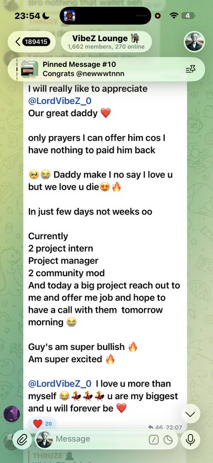 A Telegram message screenshot from the 'VibeZ Lounge' group where user @newwastntnn expresses gratitude to @LordVibeZ_0, mentioning new job opportunities as a project intern, project manager, and community mod.