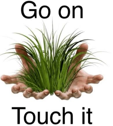 A meme-style image with two hands cupping a clump of green grass, accompanied by the text 'Go on' above and 'Touch it' below.