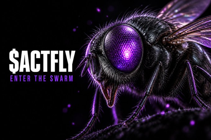 A promotional graphic featuring a hyper-realistic fly with large purple eyes next to the text '$ACTFLY' and 'ENTER THE SWARM'.