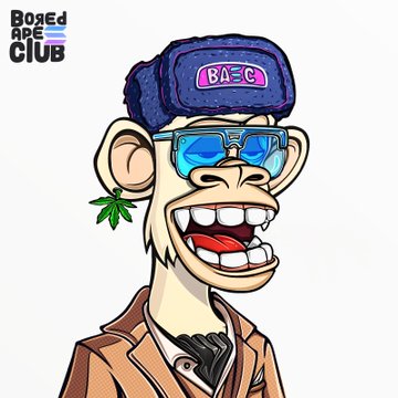 A cartoon ape wearing a "BA=C" beanie and blue sunglasses smiles in the image, which the post describes as one of the "suited V2 Apes" added to the collector's NFT collection, featuring a staked Bored Ape Club character that earns a valuable badge and precious EGGS.