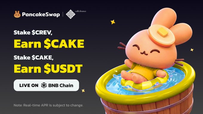 The image is a PancakeSwap promotional banner featuring a cute 3D bunny relaxing in a pool, advertising "Stake $CREV, Earn $CAKE" and "Stake $CAKE, Earn $USDT" with the note "LIVE ON BNB Chain," tying into the announcement of Colb's pre-IPO $CREV staking now available on PancakeSwap.