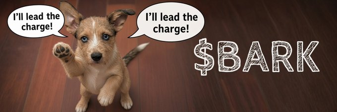 A cute puppy with raised paw appears twice with speech bubbles reading 'I'll lead the charge!' next to the text '$BARK' on a wooden floor background.