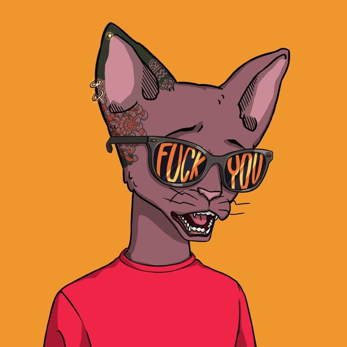 An illustration of a purple Sphynx cat wearing sunglasses with the phrase 'FUCK YOU' reflected in the lenses, set against an orange background.