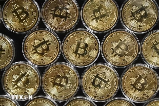 Rows of gold-colored commemorative Bitcoin tokens featuring the "₿" symbol are arranged in protective cases, visually representing the digital asset industry at the center of Vietnam's upcoming regulatory pilot program. The "TTXVN" watermark in the corner indicates the image is sourced from the Vietnam News Agency, accompanying news of the country's initiative to license digital asset service providers.