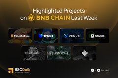 The image is a promotional graphic titled "Highlighted Projects on BNB CHAIN Last Week," featuring logos of featured projects including PancakeSwap, TRUST, VENUS, and StandX, along with the BSC Daily branding. It relates to the post by showcasing BNB Chain ecosystem projects, though it highlights weekly top projects rather than the 24-hour trending tokens with specific percentage gains (like CZ +208.21% or Star +196.15%) listed in the accompanying text.