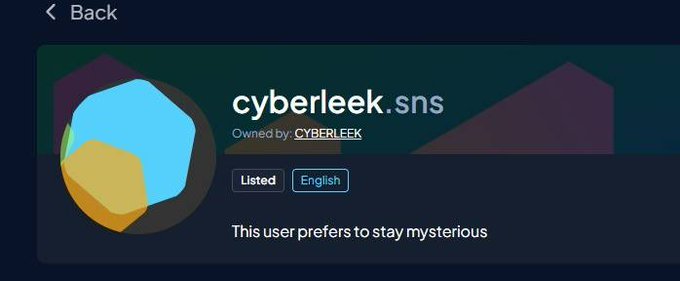 A profile card for "cyberleek.sns" displays the user as owned by CYBERLEEK, listed in English, with the tagline "This user prefers to stay mysterious," confirming the post's claim about the ownership change while noting the user's anonymity.