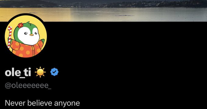 A social media profile for 'ole_ti' (@oleeeeeee_) with a penguin avatar in a red outfit, featuring the text 'Never believe anyone'.