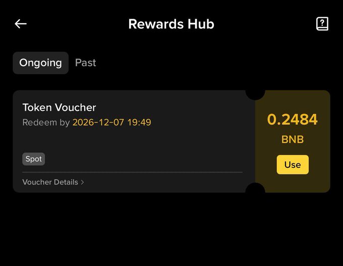A 'Rewards Hub' screen showing a Token Voucher for 0.2484 BNB available for spot trading, with a redemption deadline of 2026-12-07 19:49 and a 'Use' button.
