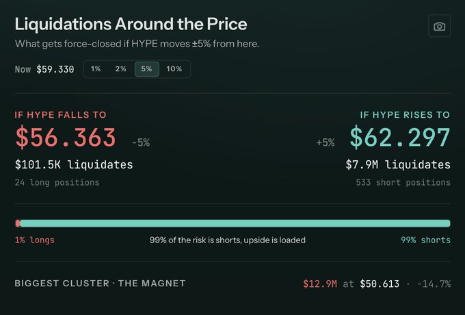 A crypto liquidation dashboard for HYPE token showing current price of $59.330, with $101.5K in long liquidations at $56.363 and $7.9M in short liquidations at $62.297, noting 99% of risk is on shorts with the biggest cluster at $50.613.