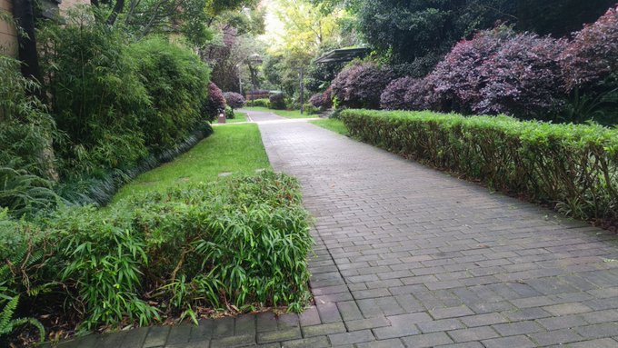 A serene garden pathway made of gray paving stones, bordered by lush green hedges, manicured shrubs, and trees with sunlight filtering through.