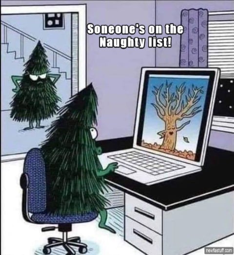 A cartoon depicts two anthropomorphic pine trees in a home, with one sitting at a laptop displaying a bare, fallen tree, while another tree glares from a doorway with the caption "Someone's on the Naughty list!" This image humorously illustrates the accompanying post's metaphor of the forest growing as the timeline sleeps, specifically referencing the token "$BNKR" by portraying a healthy tree losing its leaves while another stands by.