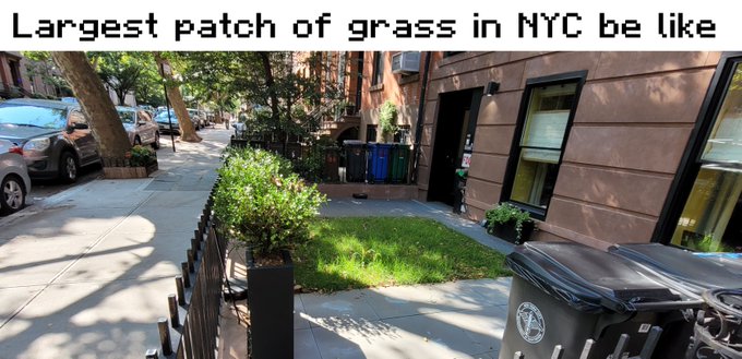 A meme image captioned 'Largest patch of grass in NYC be like' showing a small, precious strip of green grass in a fenced-in urban area between brownstones.