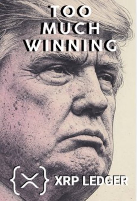 A meme featuring a stern-looking man's face with the text "TOO MUCH WINNING" overlaid, along with the "XRP LEDGER" logo at the bottom. The image humorously promotes XRP Ledger's on-chain finance capabilities, suggesting that transparency and unstoppable transactions lead to overwhelming success.