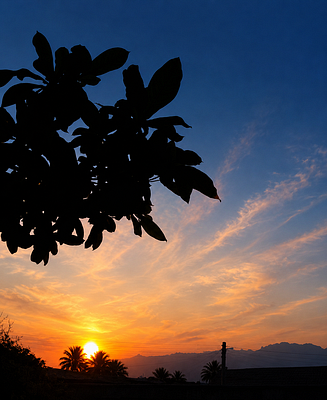 A silhouette of a tree branch frames a vibrant orange and blue sunset over a tropical landscape.