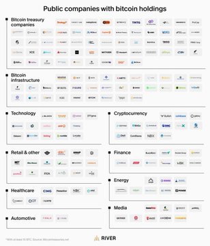 The image is a River infographic titled "Public companies with bitcoin holdings," organized into categories including Bitcoin treasury companies (featuring major tickers like MSTR, MicroStrategy, MARA, RIOT, COIN, HODL, and Hut 8), Bitcoin infrastructure, Technology, Cryptocurrency, Retail & other (including Tesla and Block), Finance, Energy (Marathon, HIVE, Riot), Healthcare, Media, and Automotive. It visually supports the post's claim by showcasing the breadth of corporate Bitcoin adoption across diverse industries, highlighting notable holders like MicroStrategy (MSTR) and Tesla as evidence that institutional accumulation continued even during the bear market.