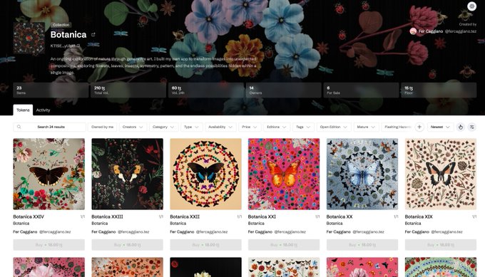 A webpage for the 'Botanica' NFT collection showing statistics including 290 ETH Total Volume and 60.17 ETH Listed Volume, alongside various floral and butterfly-themed NFT artworks.