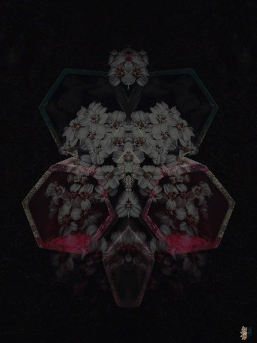 A dark, symmetrical floral arrangement shaped within a hexagonal frame, featuring pale flowers with hints of red.